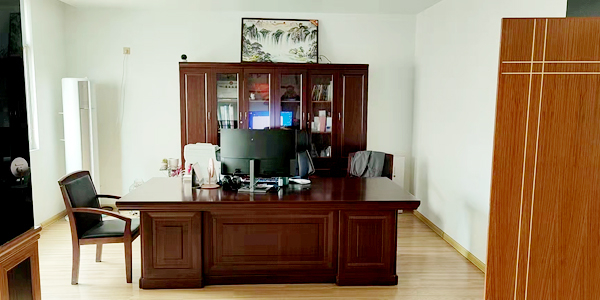 Ceo office