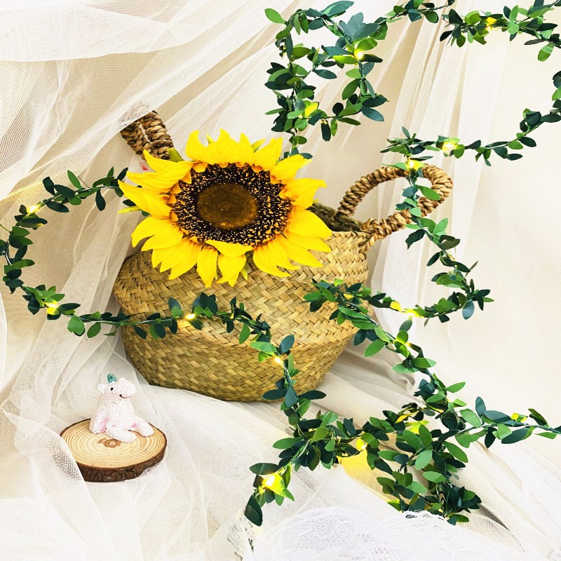 Green copper wire lamp winding plant leaves small colorful lights